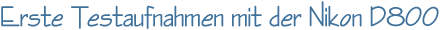 Erste Testaufnahmen miter Nikon D800