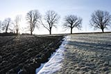 Testbild Canon an 400D