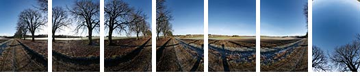 Einzelbilder vom Canon Fisheye