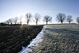 Testbild Tokina an 400D