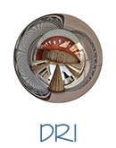 Link zum DRI Kugelpanorama