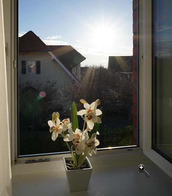 Samyang AF 18mm F2.8 FE im Gegenlicht Sonnenstern Lensflares