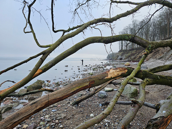 Naturschutzgebiet Brodtener Ufer