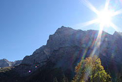 Sonnenstern Walimex